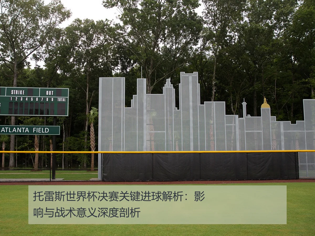 托雷斯世界杯决赛关键进球解析：影响与战术意义深度剖析